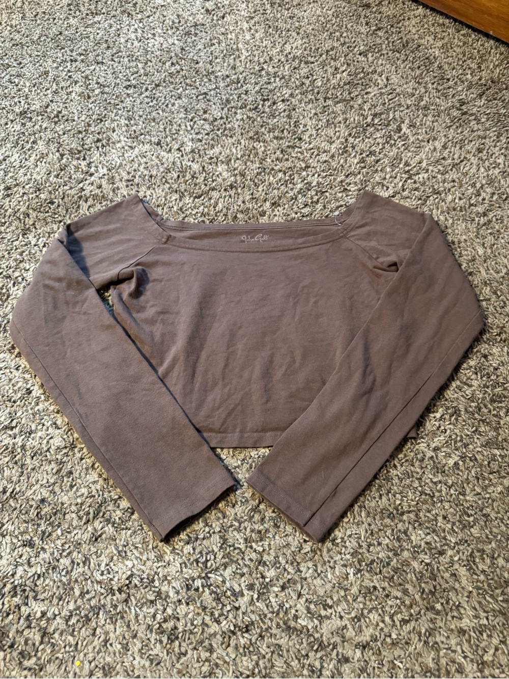 Brandy Melville brown Long Sleeve Tee one size!